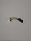 Щетка на двигатель для FRB-770/810 16555 - фото 19510 Щетка на двигатель для FRB-770/810 16555 - фото 19510